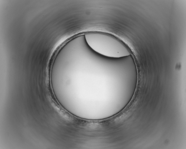 X0000090700982200707200925