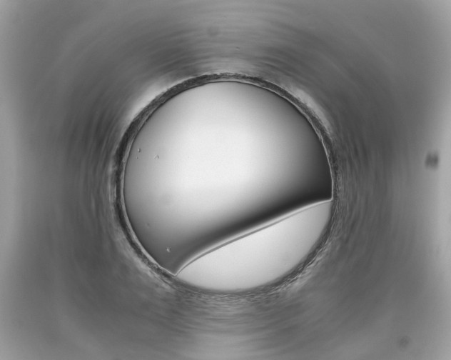 X0000090700983200707200925
