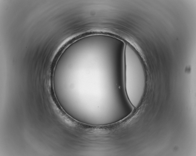 X0000090700984200707200925