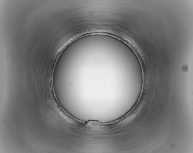 X0000090700985200707200925