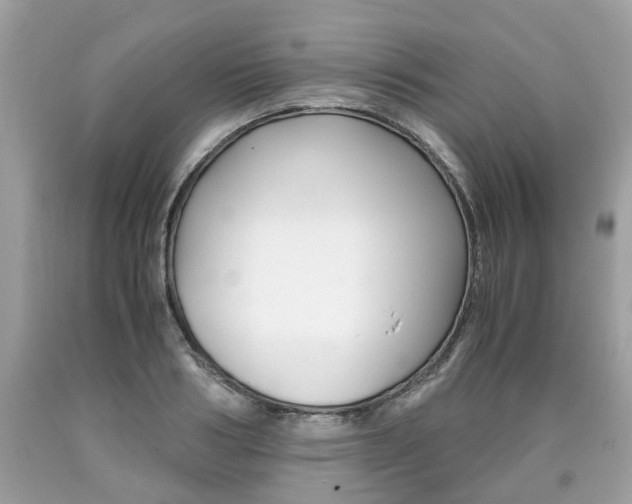 X0000090700986200707200925