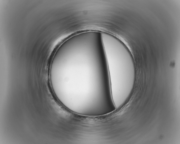 X0000090700987200707200925