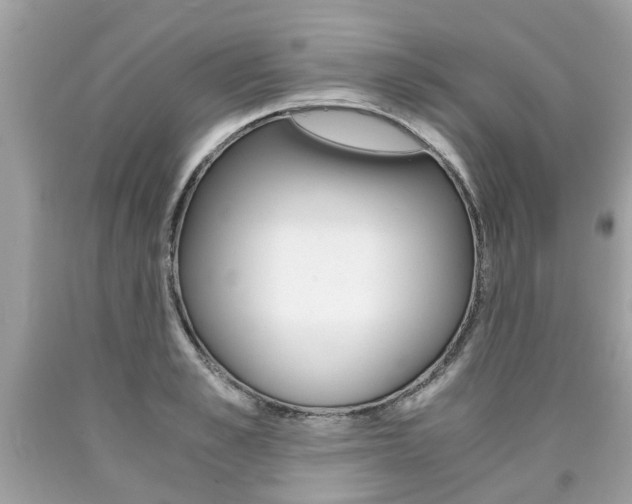 X0000090700989200707200924