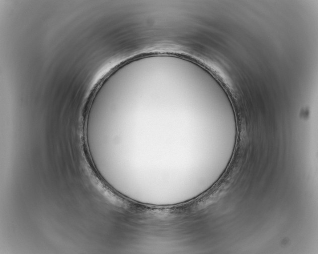 X0000090700990200707200924