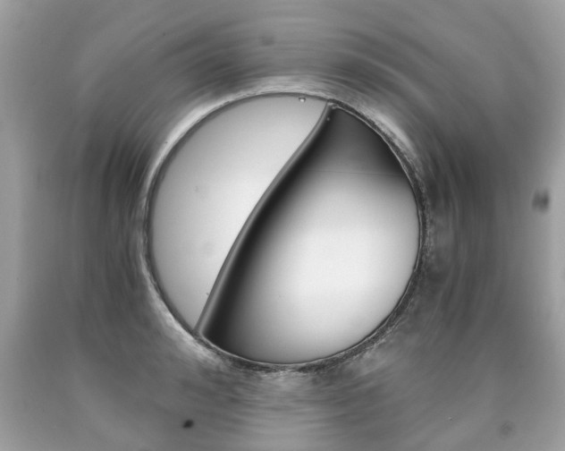 X0000090700992200707200924
