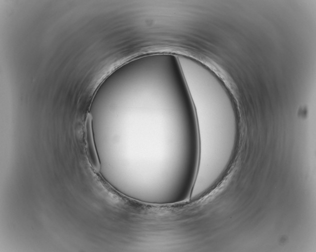 X0000090700993200707200924