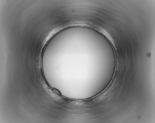X0000090700994200707200924