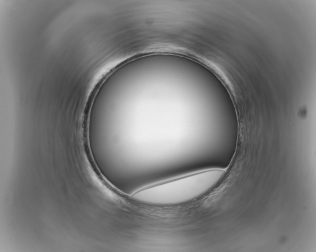 X0000090700995200707200924