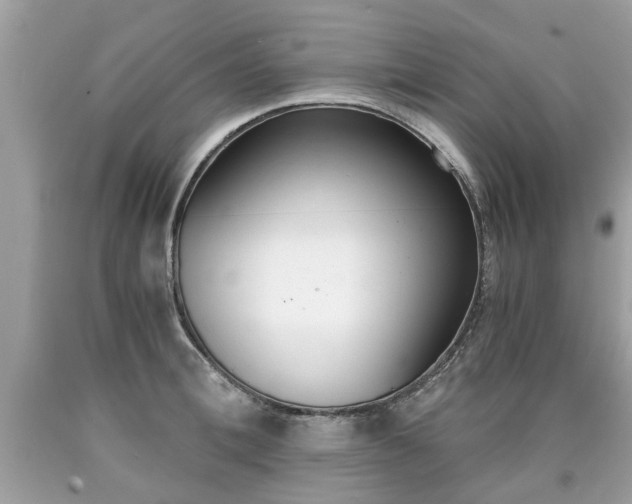 X0000090700996200707200924