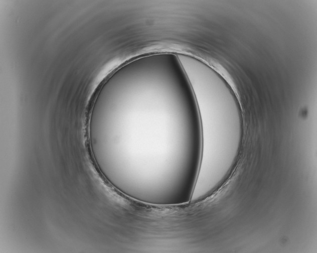 X0000090700997200707200924
