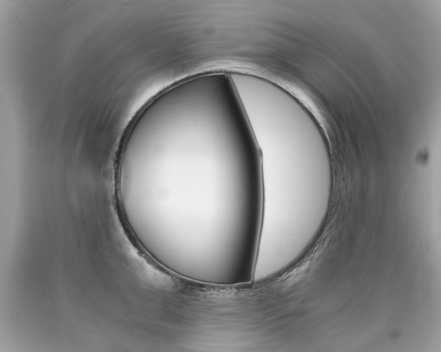 X0000090700999200707200924