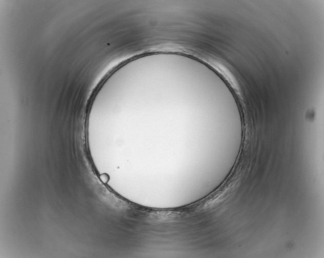 X0000090701000200707200924