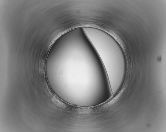X0000090701001200707200924