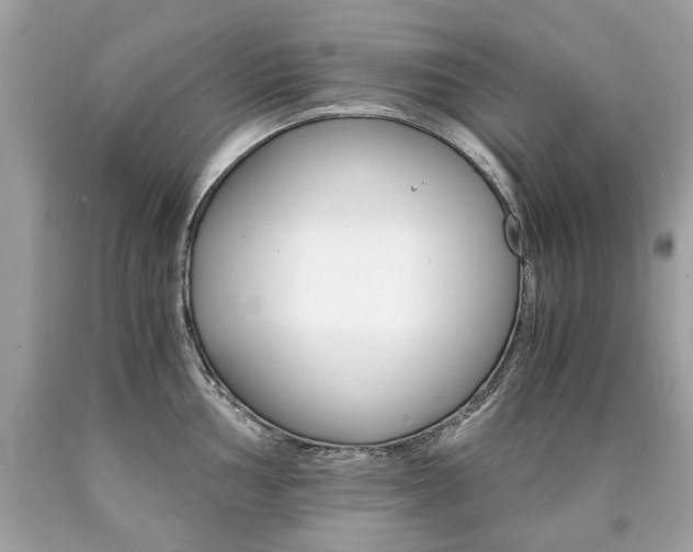 X0000090701002200707200924