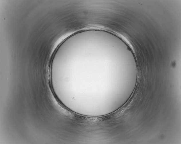 X0000090701003200707200924