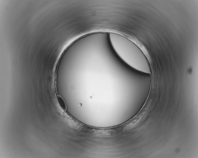 X0000090701004200707200924