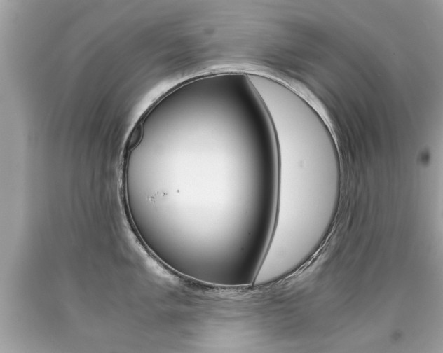 X0000090701005200707200924