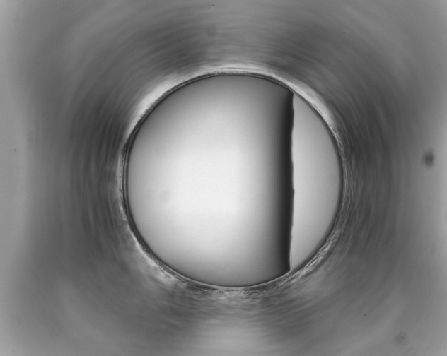 X0000090701006200707200924