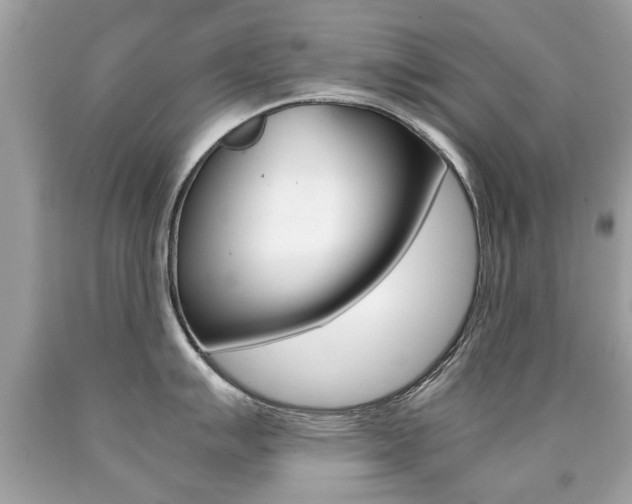 X0000090701007200707200924