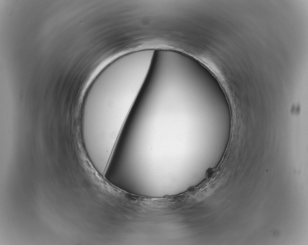 X0000090701008200707200924