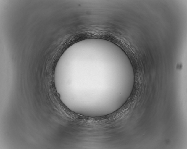 X0000090701009200707200923