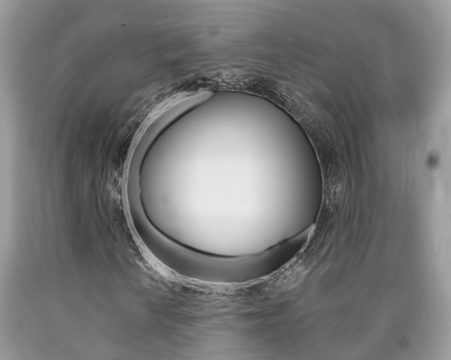 X0000090701010200707200923