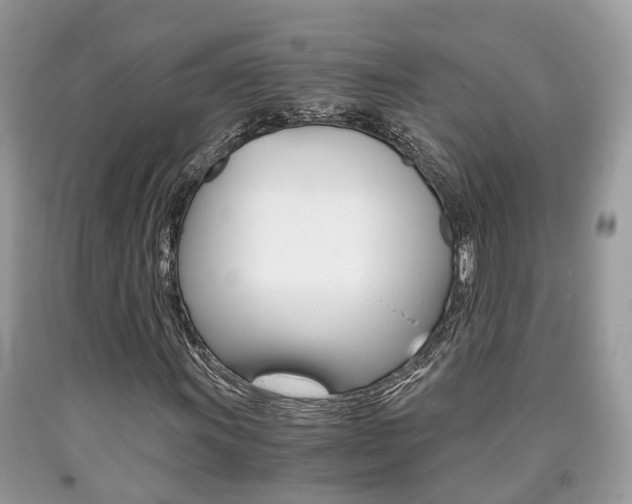 X0000090701011200707200923