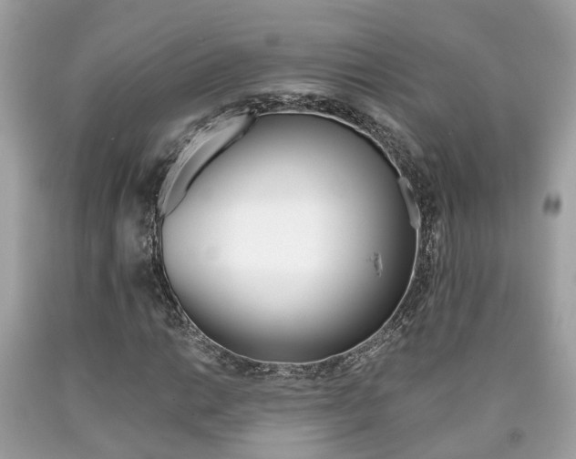X0000090701014200707200923