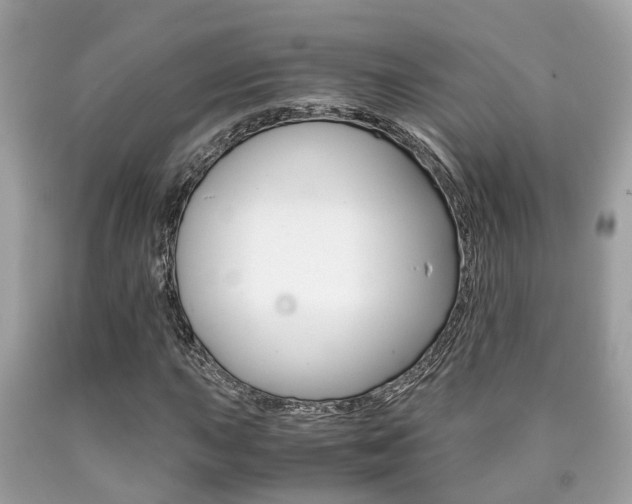 X0000090701015200707200923