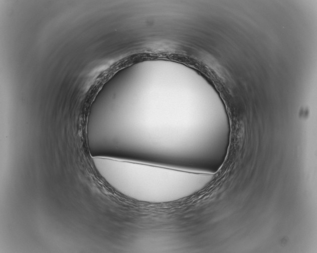 X0000090701016200707200923