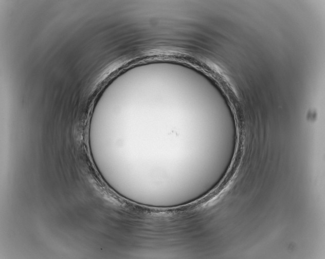 X0000090701017200707200923