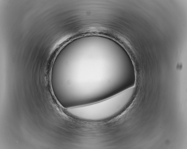 X0000090701018200707200924