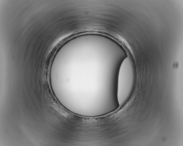X0000090701019200707200924