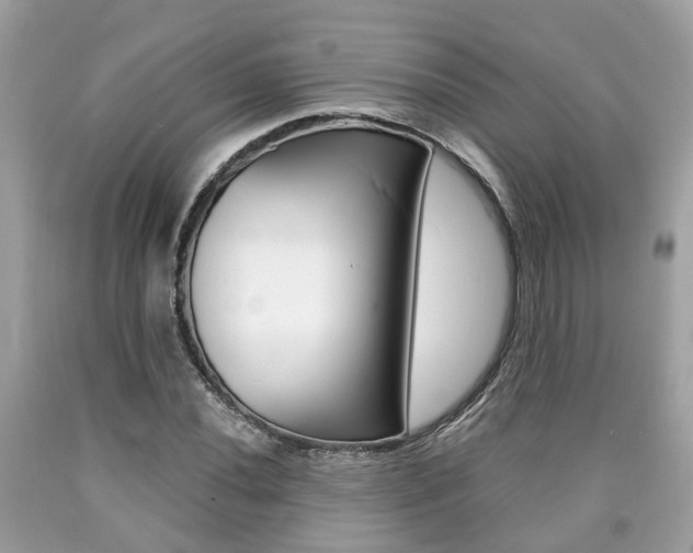 X0000090701020200707200924