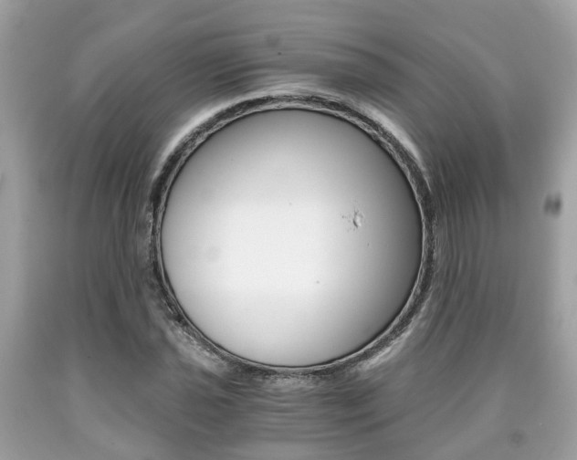 X0000090701021200707200924