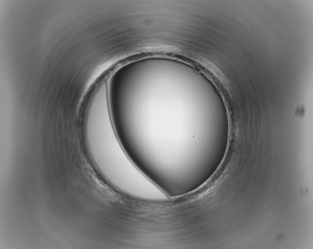 X0000090701022200707200924