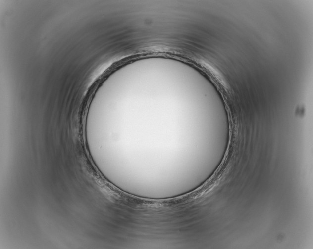 X0000090701023200707200924