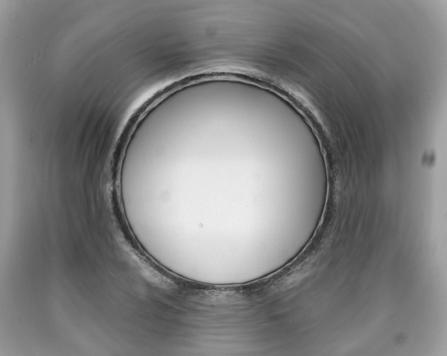 X0000090701024200707200924