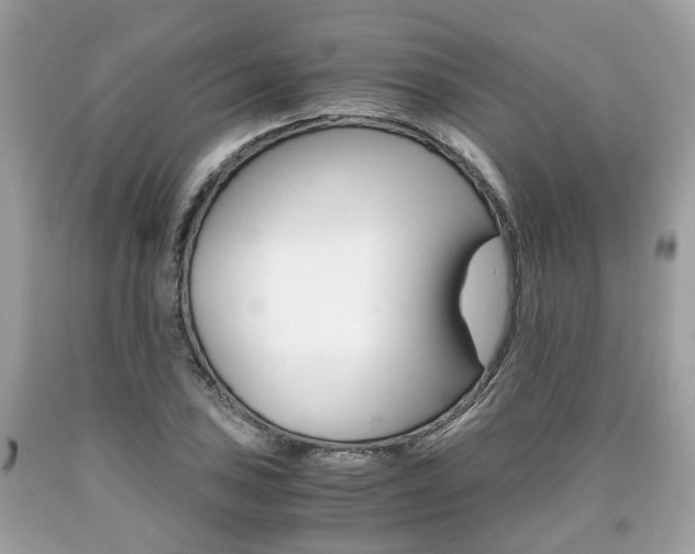 X0000090701027200707200924