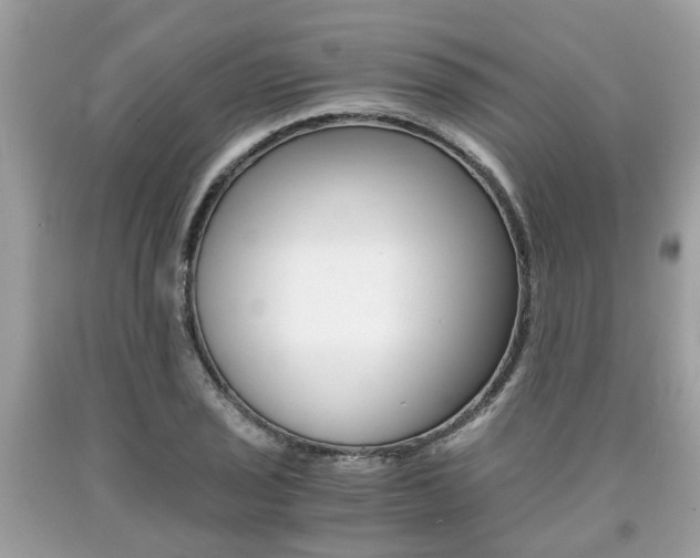 X0000090701029200707200924
