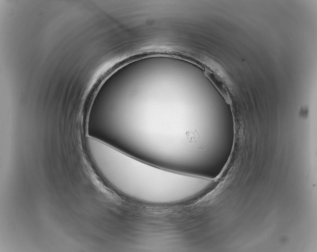 X0000090701030200707200924