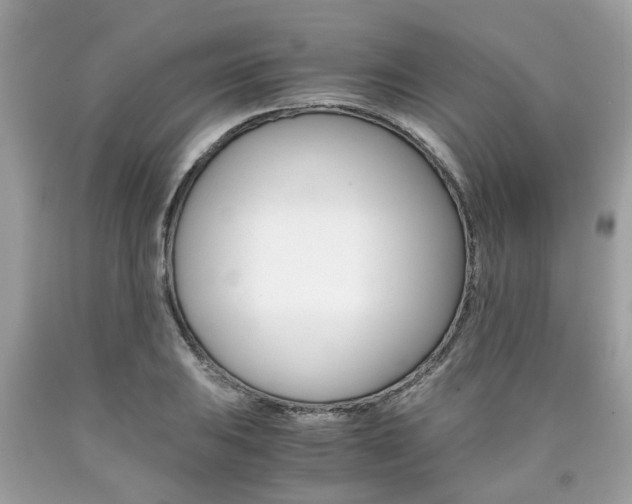 X0000090701031200707200924