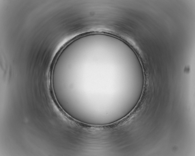 X0000090701032200707200924