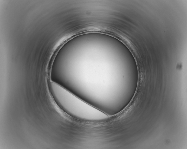 X0000090701034200707200924