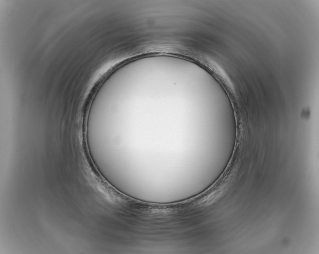 X0000090701035200707200924