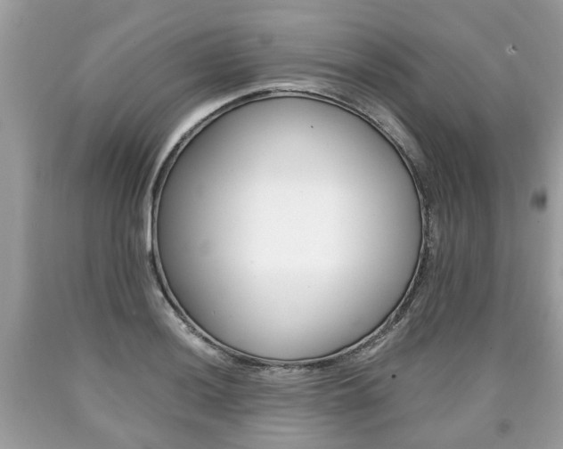 X0000090701036200707200924