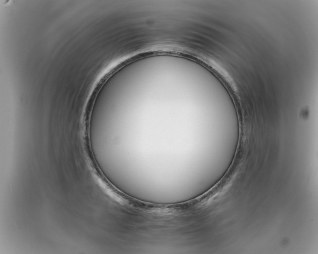 X0000090701037200707200924