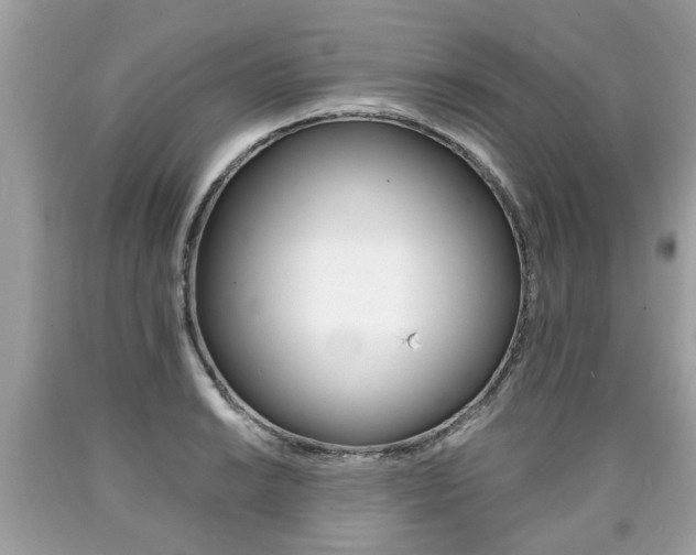 X0000090701038200707200924