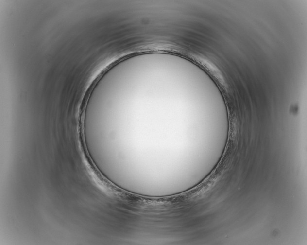 X0000090701039200707200924
