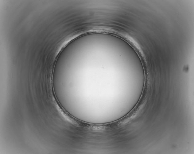 X0000090701041200707200924